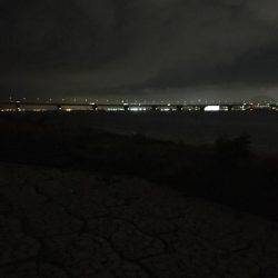 淀川キビレゲーム 6月最終日