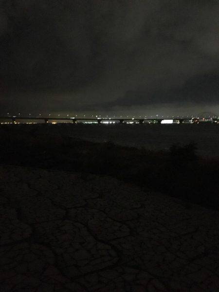 淀川キビレゲーム 6月最終日