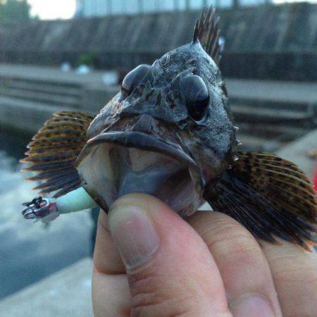 久しぶりに朝まで行って来ました！！