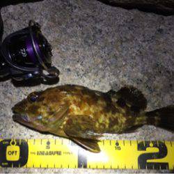 爆風ライトゲーム