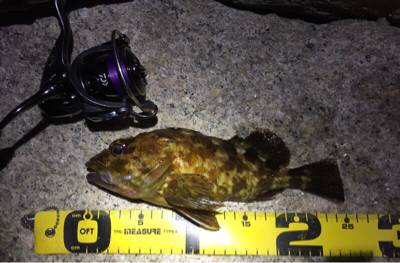 爆風ライトゲーム