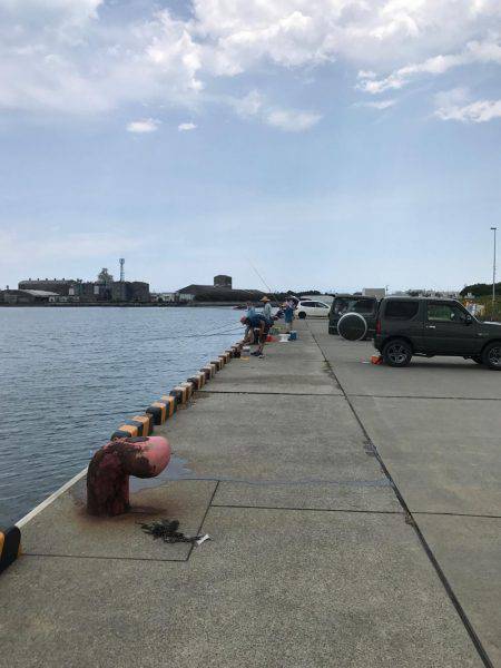 赤石東ふ頭で豆アジ、サバ、カサゴ