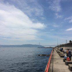 赤い君は海老が大好物でした！