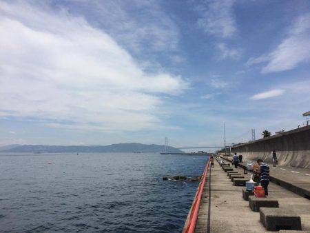 赤い君は海老が大好物でした！