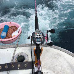 サビキ五目釣り&マイカ釣り