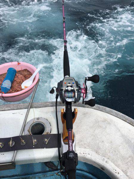 サビキ五目釣り&マイカ釣り