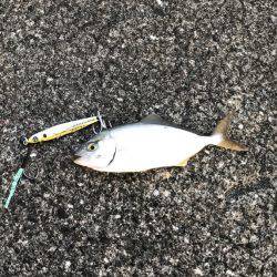 上川口漁港にて