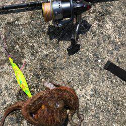 夜勤前にちょいと