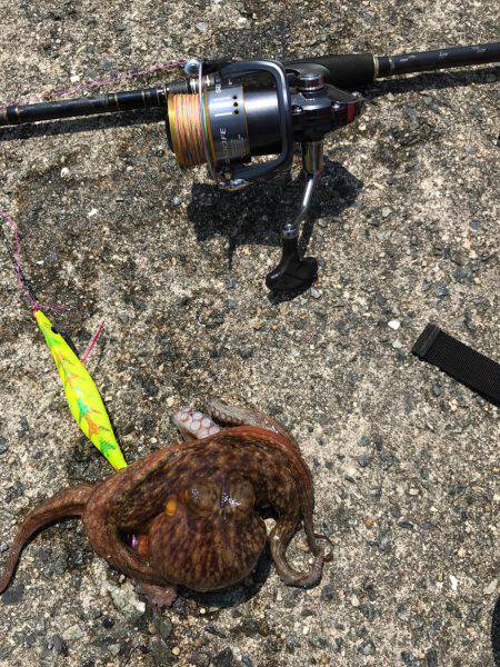 夜勤前にちょいと