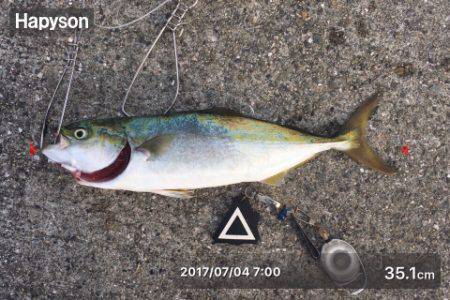 まだ一応ツバスの時合いあり