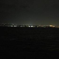 初夏の淀川キビレゲーム