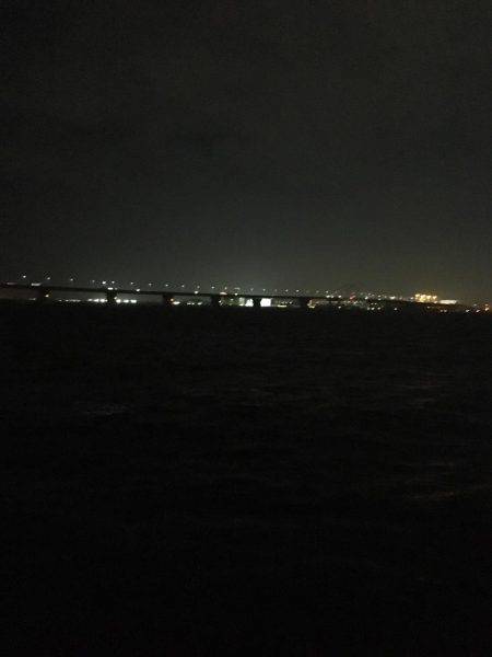 初夏の淀川キビレゲーム