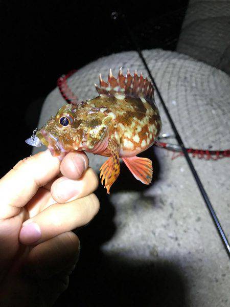 ライトゲームで…