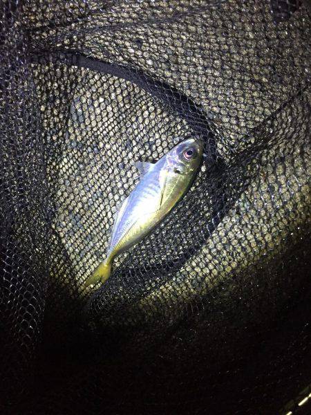 悪天候にはご注意を