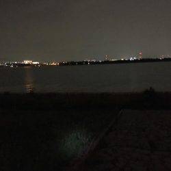 淀川キビレゲーム 台風一過