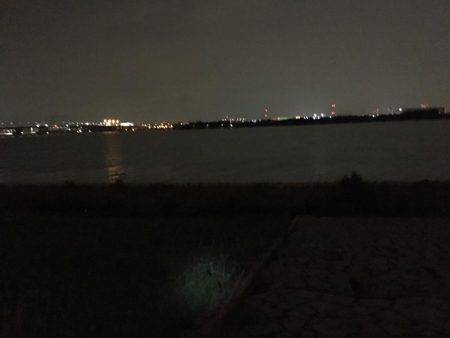 淀川キビレゲーム 台風一過