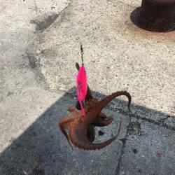 昼休30分タコ釣り!!