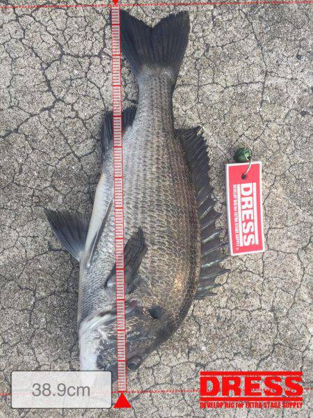 40オーバー中々こなーーい