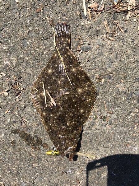 濁りがルアーを生かす。