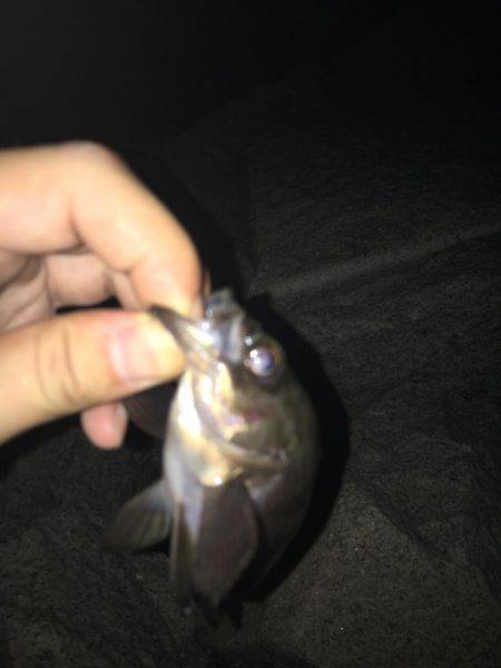 みんなでチニング