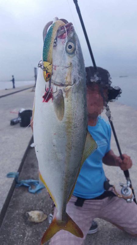 まだまだ おりますよ!