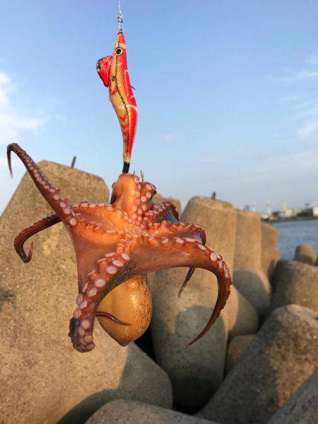 とうとう爆釣！