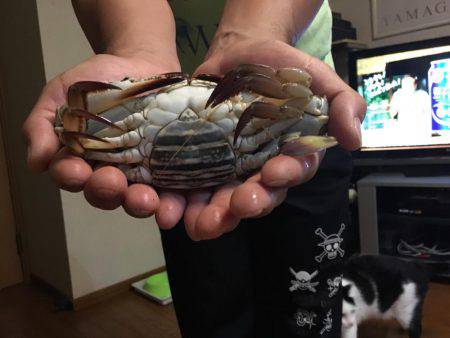 キスはいづこへ、、、