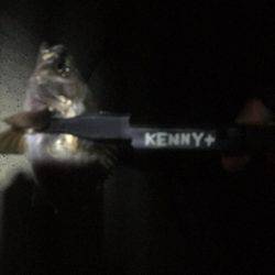 釣りがしたかっただけ♪