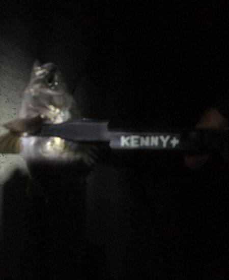 釣りがしたかっただけ♪