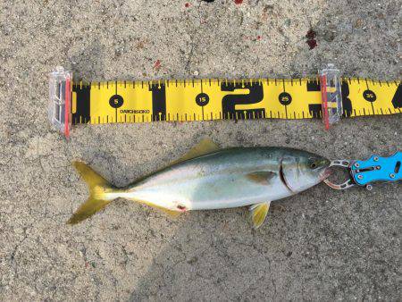 君、じゃないの！