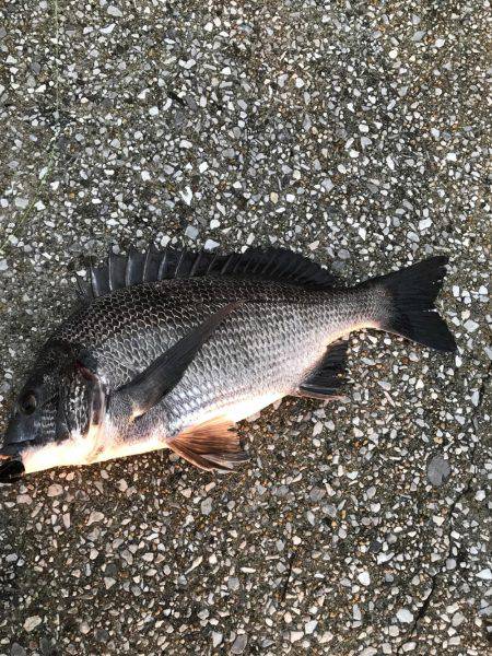 ３０分一本勝負