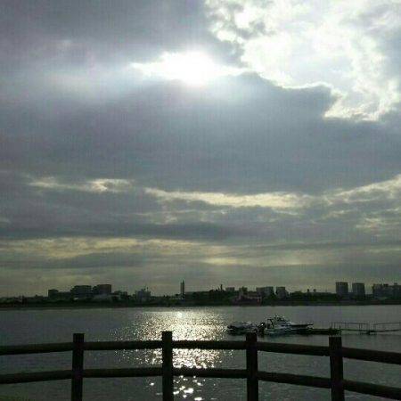 シーバス・タコ！