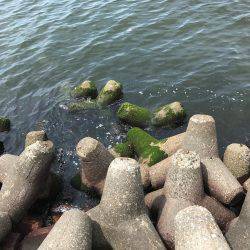 相変わらず厳しい