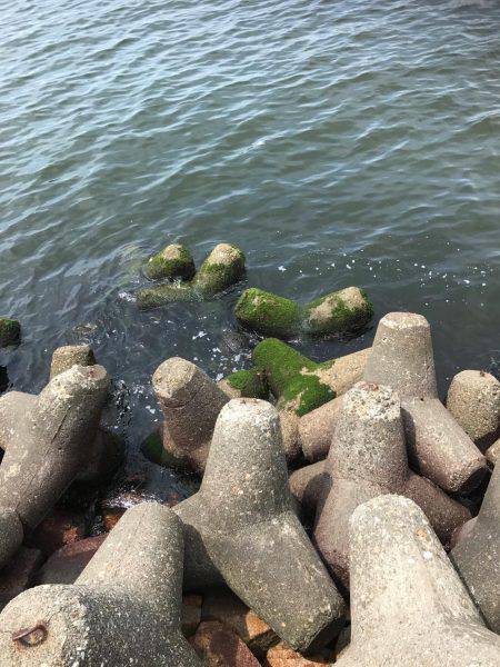 相変わらず厳しい