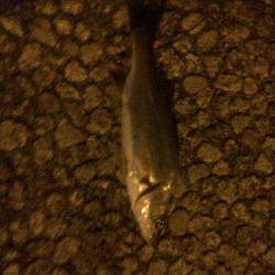 学校終わってからランガン