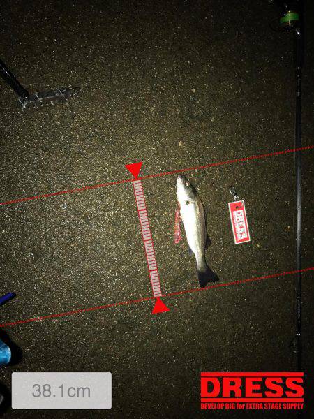 夜満潮からの下げの霞にて