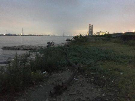 淀川キビレゲーム 大雨の後