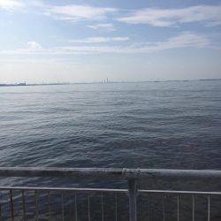 ツバスをつりたかったが。。。