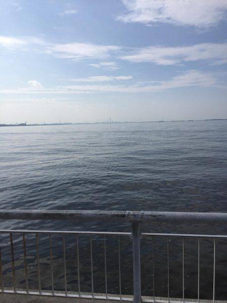 ツバスをつりたかったが。。。