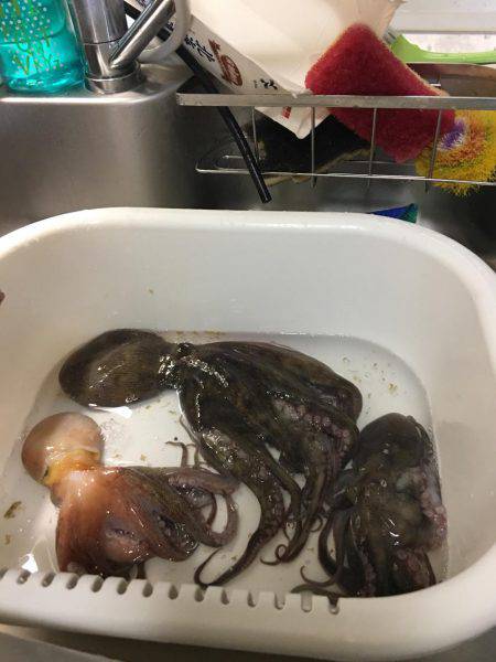 オクトパッシング