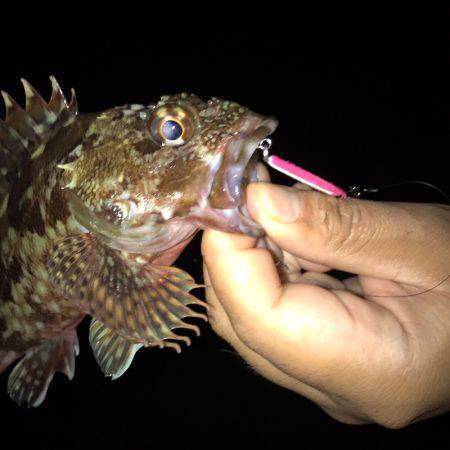 アジリング・サバリング・ガシリング