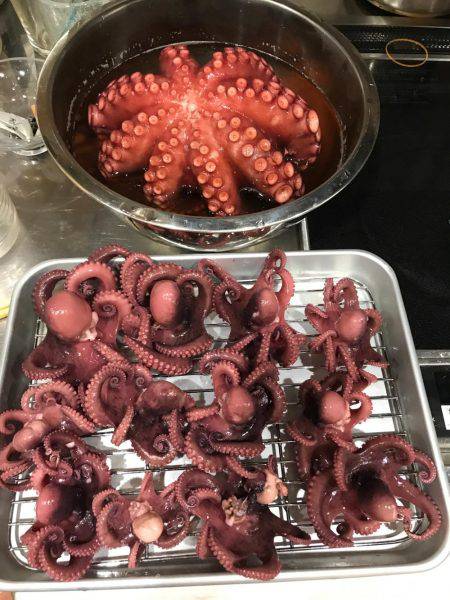 タコ  釣り船きもと  中潮