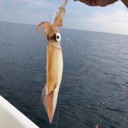 マイボートで昼間のイカメタルゲーム