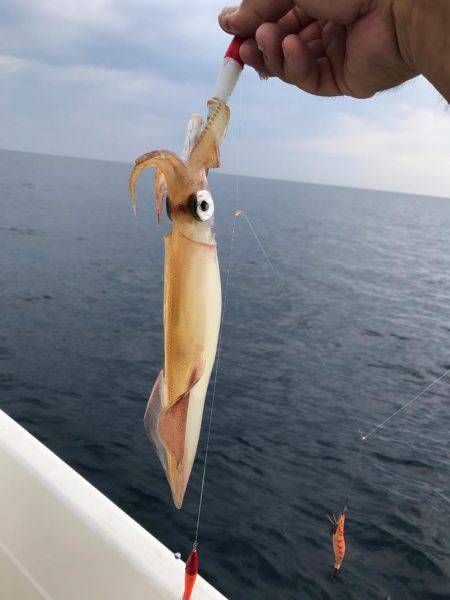 マイボートで昼間のイカメタルゲーム