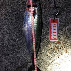 なんとかサバを！