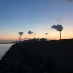 やっとホームで