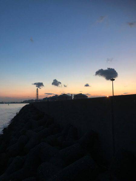 やっとホームで