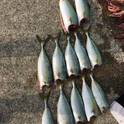 ツバスとツバスとツバスとタコ