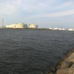 ダブルヘッダー