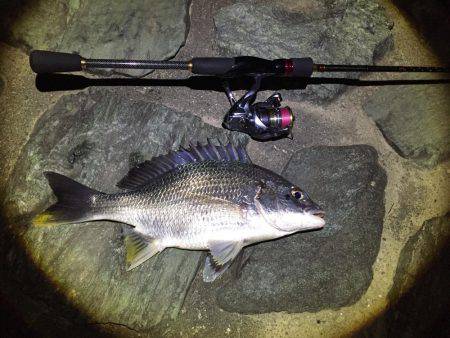 ちょっくらライトゲーム